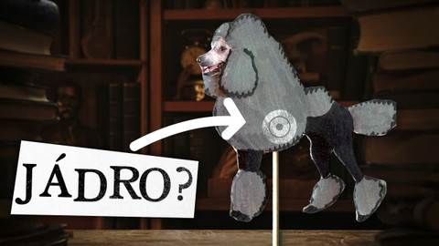 Jazykovědma - Jádro pudla