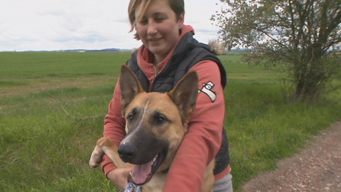 Chcete mě? - Chcete je?