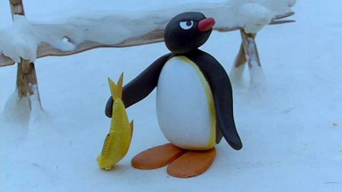 Pingu - Pingu a ptačí mláďata