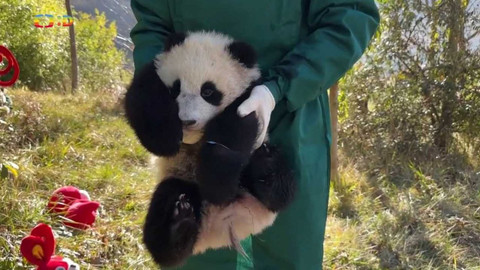 Zprávičky - 22. ledna 2023