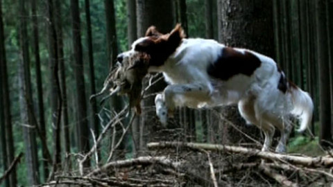 Tisíc let české myslivosti - 17. června 2011