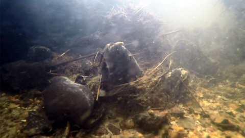 Nedej se! - Perlorodky na hranici