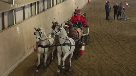 Zimní Jezdecký pohár 2016 - Trojanovice