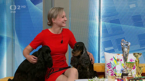 Dobré ráno - 16. května 2024