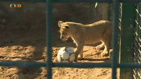 Zprávičky - 27. února 2018