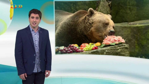 Zprávičky - 26. prosince 2016