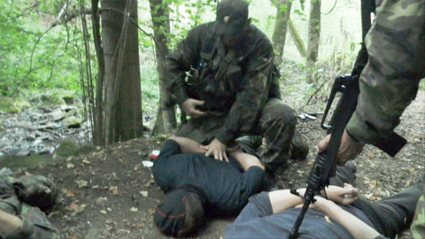 Intolerance - Domobrana