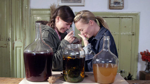 Herbář - Pohyb, pohyb