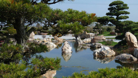 Zahrada pod lupou - 28. dubna 2012