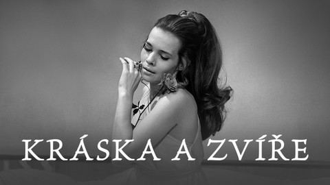 Kráska a zvíře
