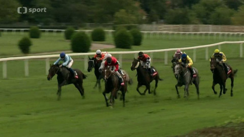 Jezdectví - Memoriál Harryho Petrlíka