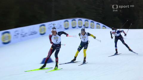 Světový pohár v biatlonu - SP Německo