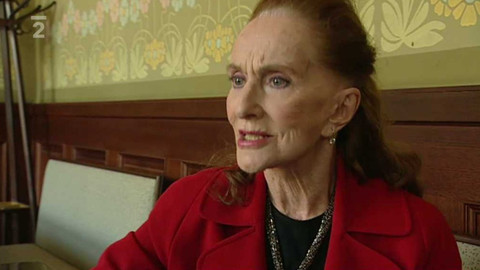 Finále Plzeň - 1/5 Plzeňské bublinky 2011