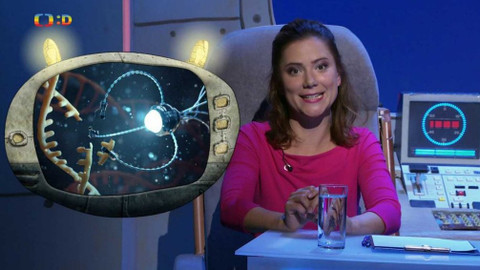 PLANETA YÓ - 31. října 2019