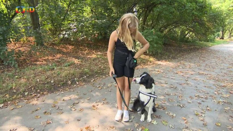 Zprávičky - 12. srpna 2020