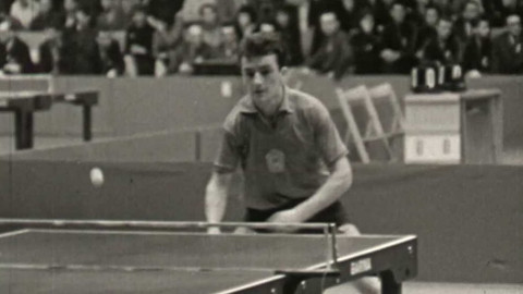 Archiv D - Deset dní s nejmenším míčkem