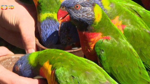 Zprávičky - 14. srpna 2021