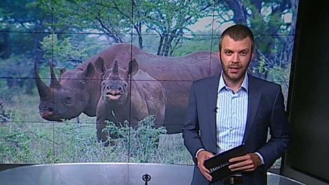 Horizont ČT24 - 24. května 2015