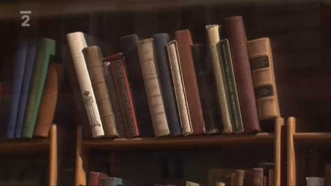 Knihy, knihy, knihy...