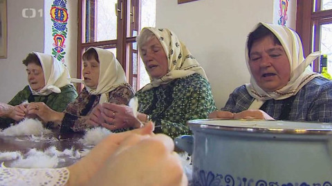 Týden v regionech (Brno) - 25. února 2017