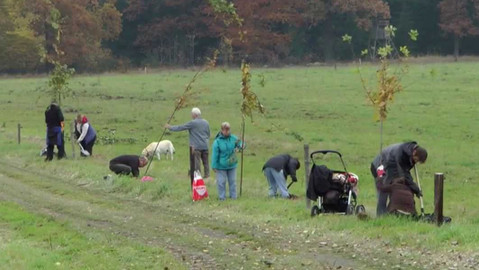 Nedej se! - Svobodná ekologie Arnika