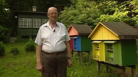 Náš venkov - Tisícileté včely