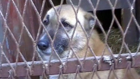 Reportéři ČT - 19. února 2007