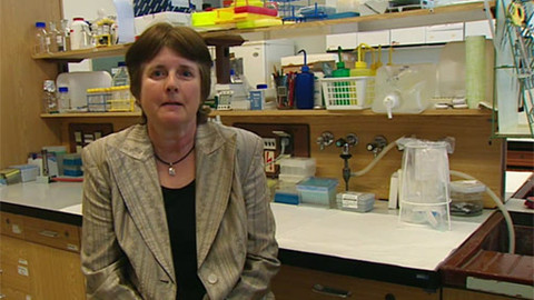 Osobnost na Dvojce - 6. května 2012