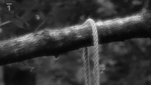 Přísně tajné vraždy - Mrtvý v horách