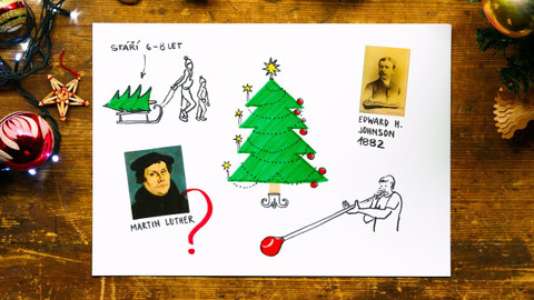 What the Fact? - Kde se vzal vánoční stromeček?