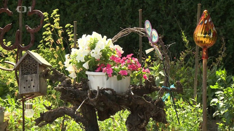 Toulavá kamera - 25. srpna 2019