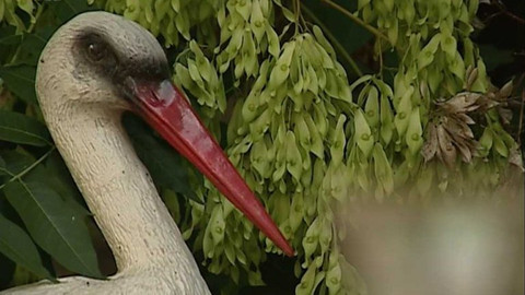 Padající květináč - 26. září 2006