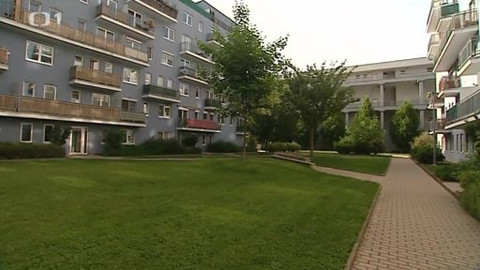 Černé ovce - 18. června 2014