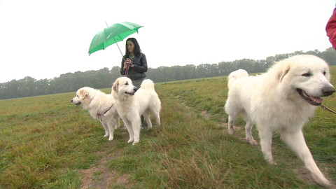 Chcete mě? - 3. dubna 2016