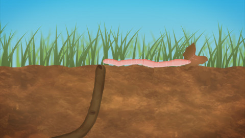 Můj mazlíček a já - roztomilá havěť - 8/10 Žížaly