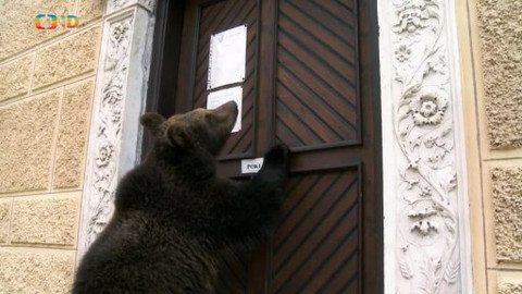 Méďové na cestách - 25/43 Manětínsko