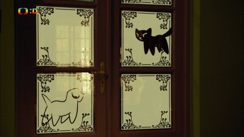 Čtení do ouška - Pes Buffino a kočka Jůra