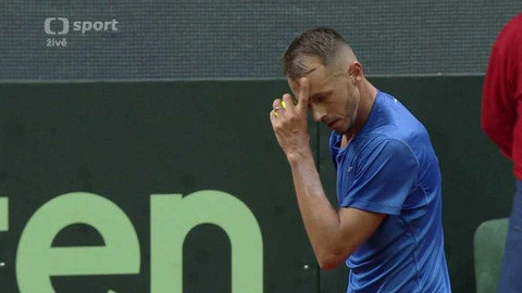 Davis Cup - Slovensko - Česko