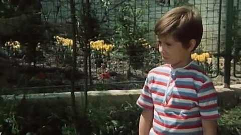 Tajemství proutěného košíku - 5/13 Pozdravuje tě táta