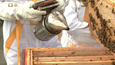 Zprávičky - 7. července 2022