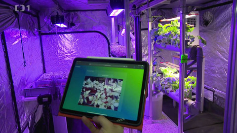 Týden v regionech (Brno) - 1. března