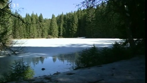 Toulavá kamera - 30. března 2014