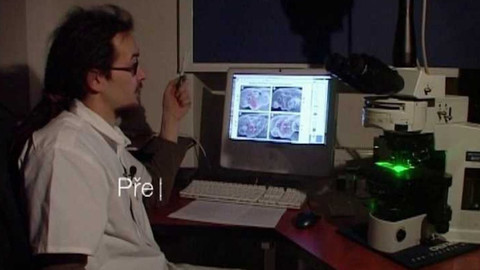 PORT - 2. ledna 2008