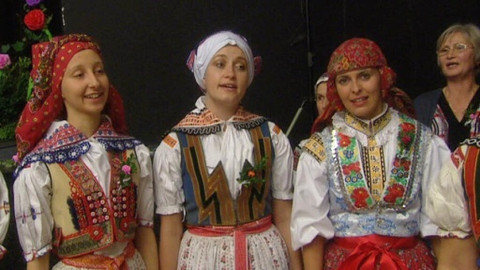 Z metropole - 25. ledna 2014