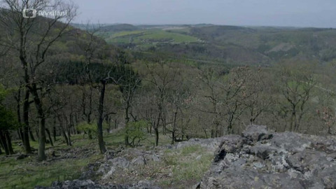 Minuty z přírody - Křivoklátské pleše