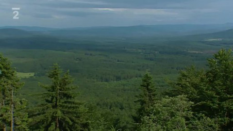Nedej se! - Letní blokáda NP Šumava