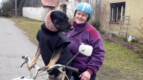 Mezi námi zvířaty - 25. dubna 2009