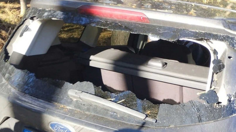 Černé ovce - 22. května 2024