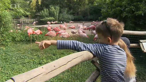 Z metropole - 12. září 2015