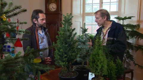 Polopatě - 1. prosince 2019